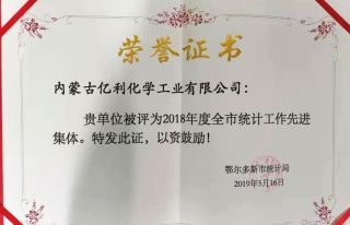 2018年度全市統(tǒng)計工作先進(jìn)集體